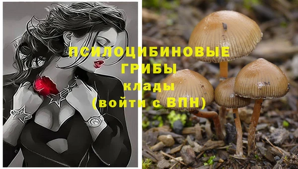 MESCALINE Лихославль