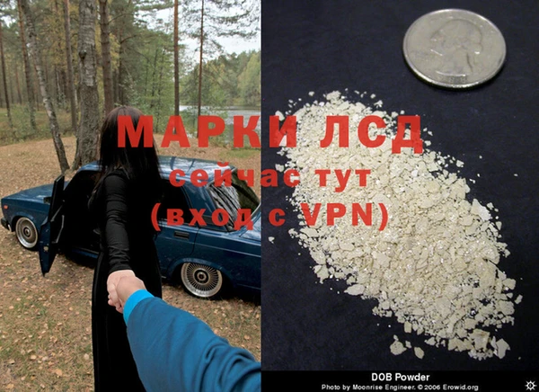 крисы Лиски